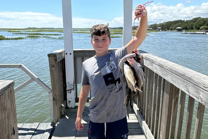 a person standing on a bridge over a body of water