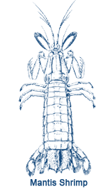 a drawing of a person