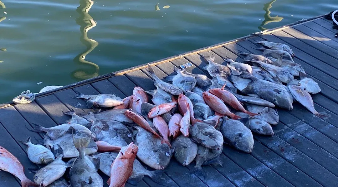 Beginner’s Guide to Fishing in Myrtle Beach Beginner's Guide to Fishing in Myrtle Beach