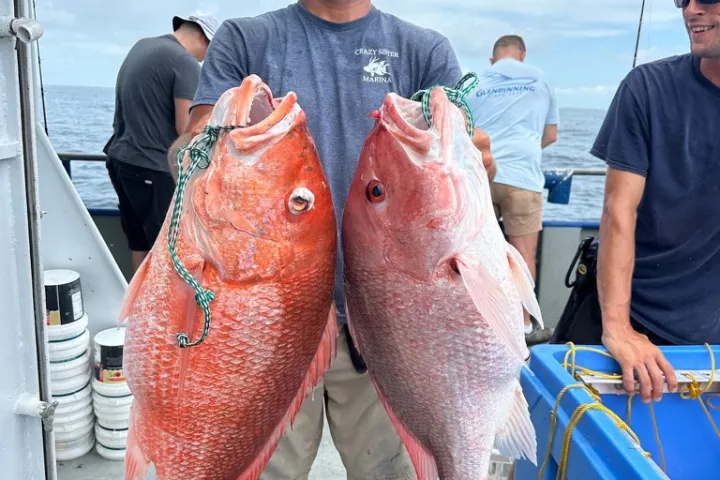 Man holding two large red fish on a boat with others in the background.