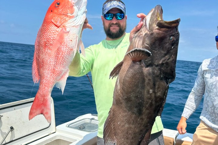 Man on boat holding large red and black fish against a blue sky backdrop.