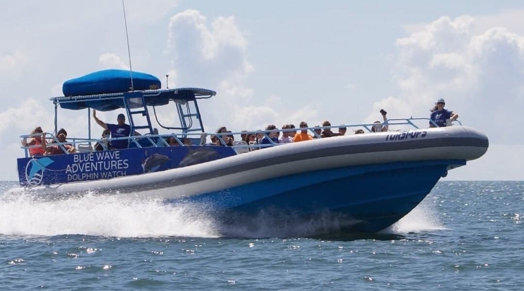 Blue Wave Adventures Dolphin Watch Tour Blue Wave Adventures Dolphin Watch Tour