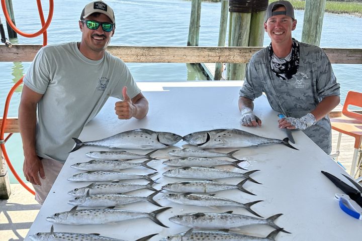 a person holding a fish