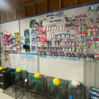 a store filled with lots of stuffed animals