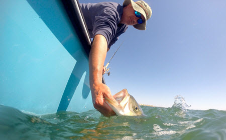 Striped Bass Fishing