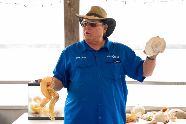 a man wearing a blue shirt