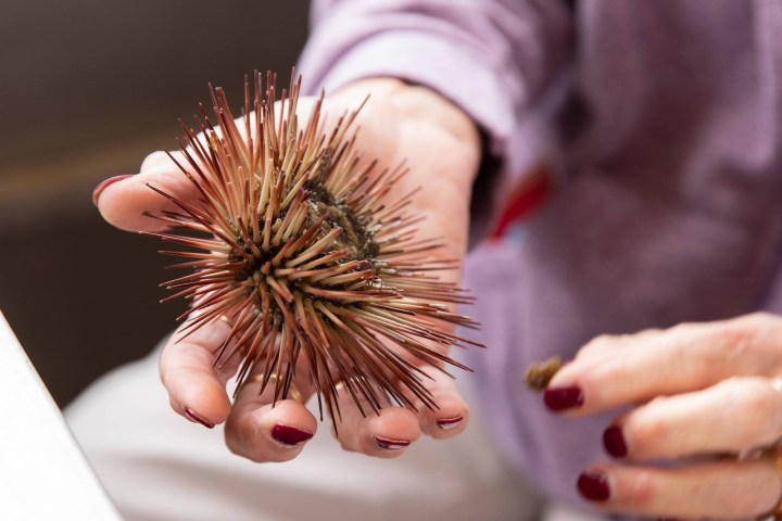 a close up of a hand