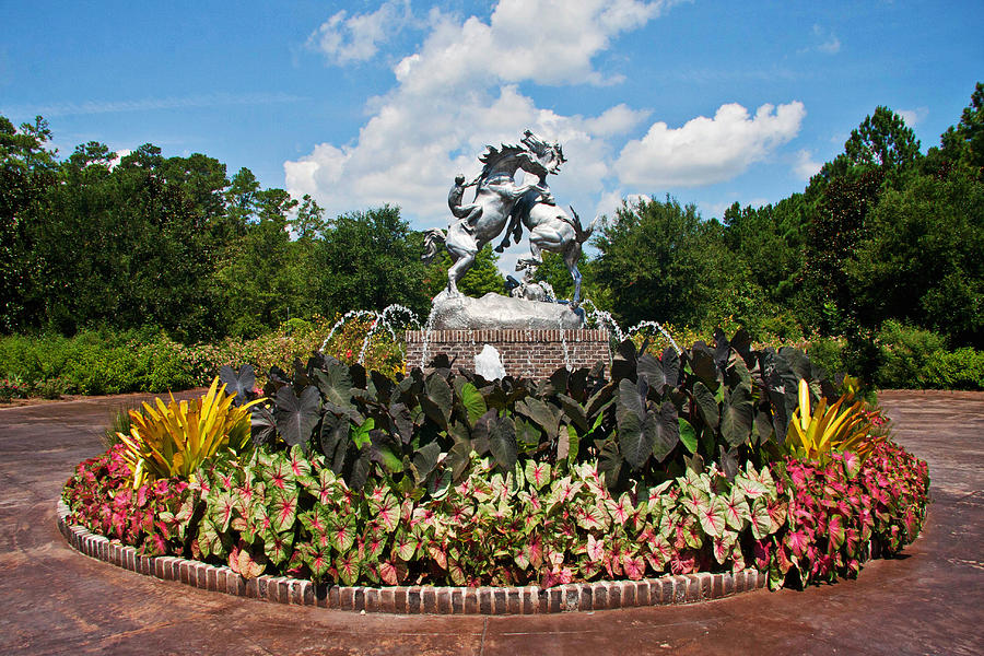 BrookGreen Gardens a close up of a flower garden
