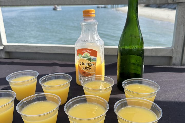 Plastic cups with orange juice, a green bottle, and juice carton on a table by the water.