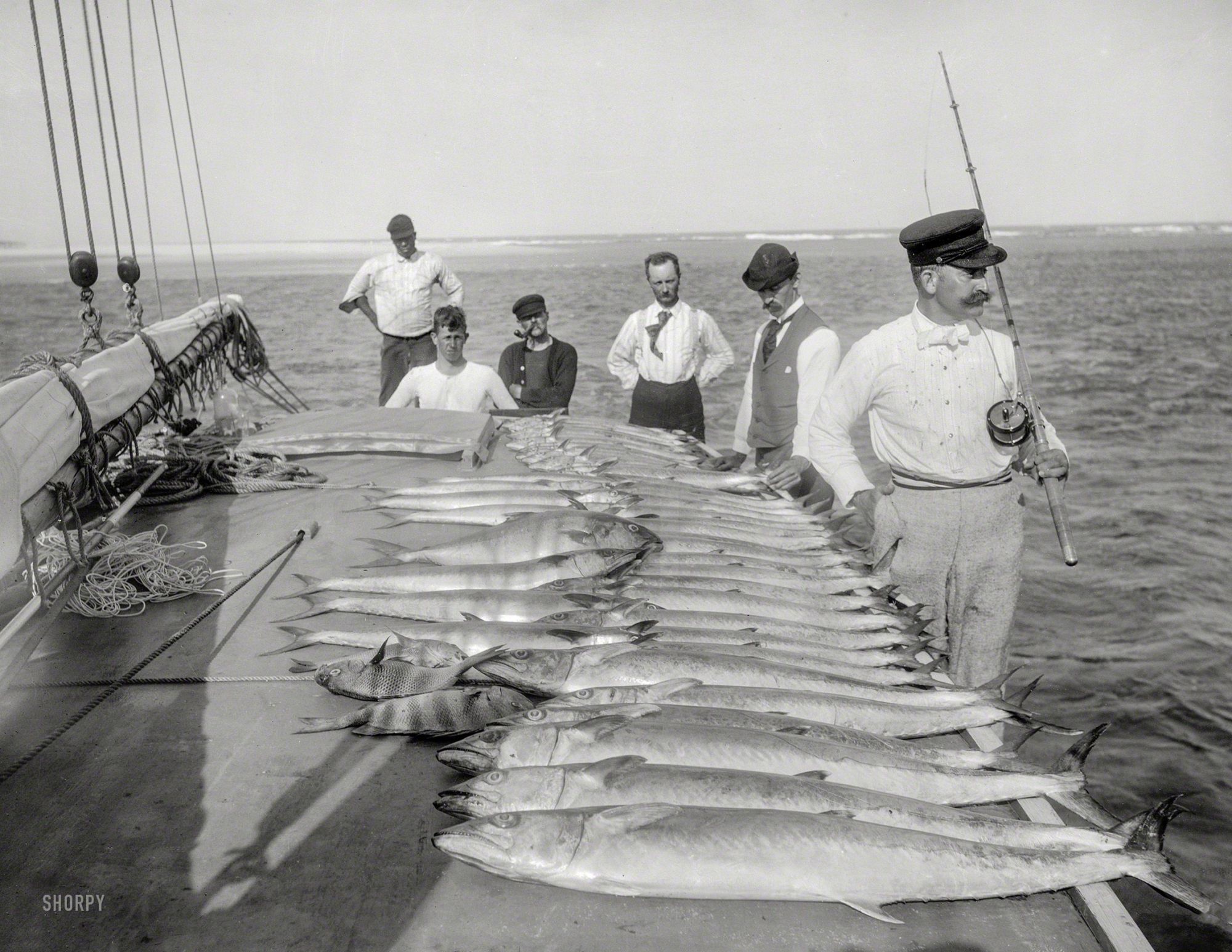 Historical Fishing Men on boat deck with large row of caught fish, holding fishing rods.