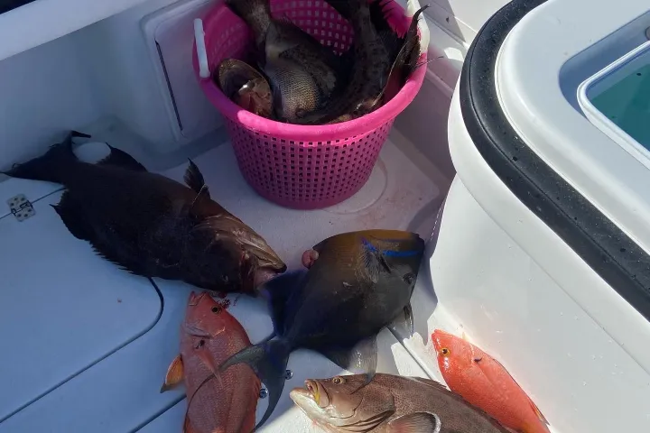 Several fish on boat deck next to pink basket, some inside it.