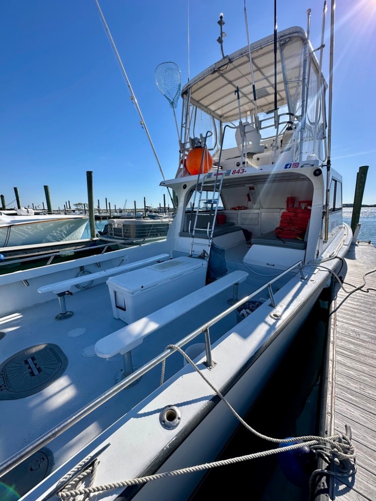 White boat docked at marina under clear blue sky.