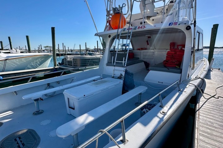 White boat docked at marina under clear blue sky.