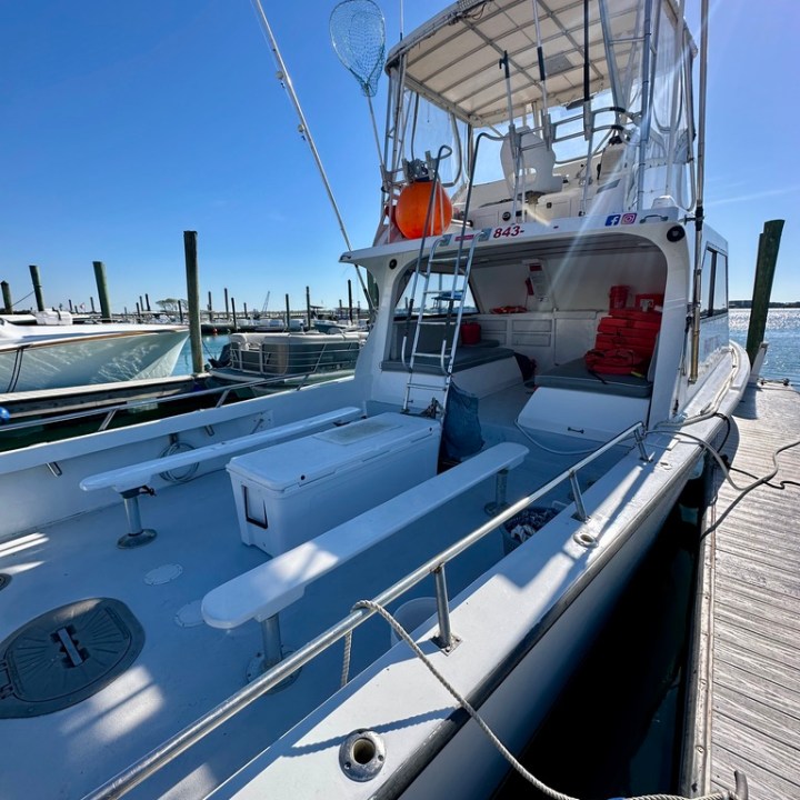 White boat docked at marina under clear blue sky.