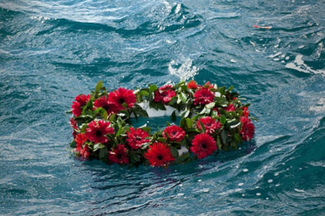 Flower wreath with red roses floating on blue water.