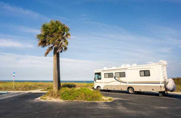 RV parked near a palm tree by the ocean on a sunny day.