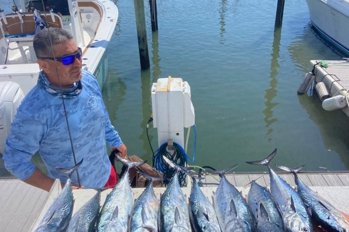 Person with sunglasses beside a dock, displaying various fish on a table near boats.