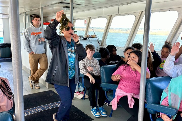 Person holding seaweed speaking to seated group on a boat.