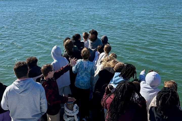 Group of people standing at the edge of a boat, looking out at water.