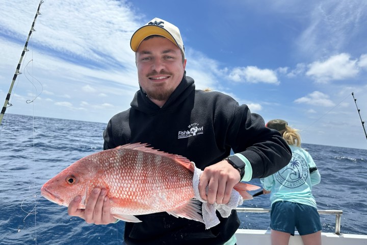 Person holding a red fish on a boat with fishing rods in the background.