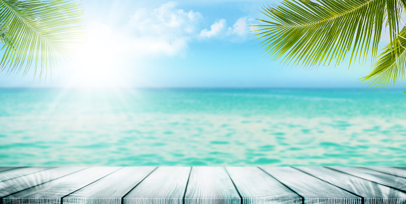 Wooden deck overlooking a sunny ocean with palm leaves framing the view.