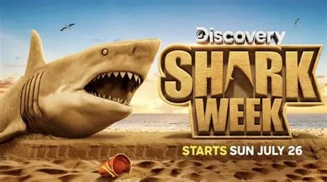 Giant shark biting text 'Shark Week' on a beach, starts Sun July 26, Discovery logo in top corner.
