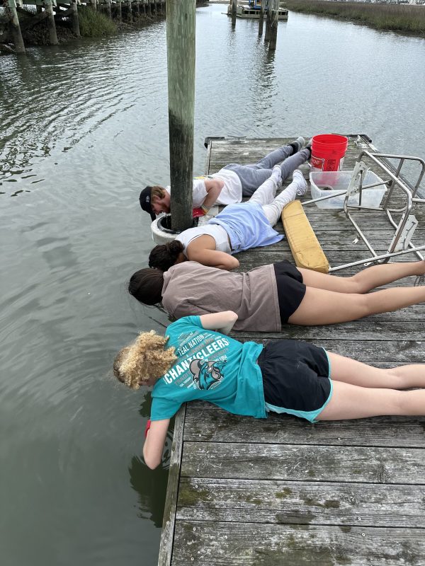 Four people lying on dock, peering into water, next to a railing and buckets.