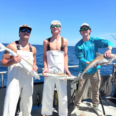 Three people on a boat holding fish, clear sky, ocean background.