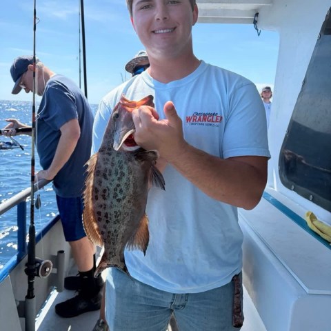 Person smiling on a boat holding a caught fish, with ocean in the background.