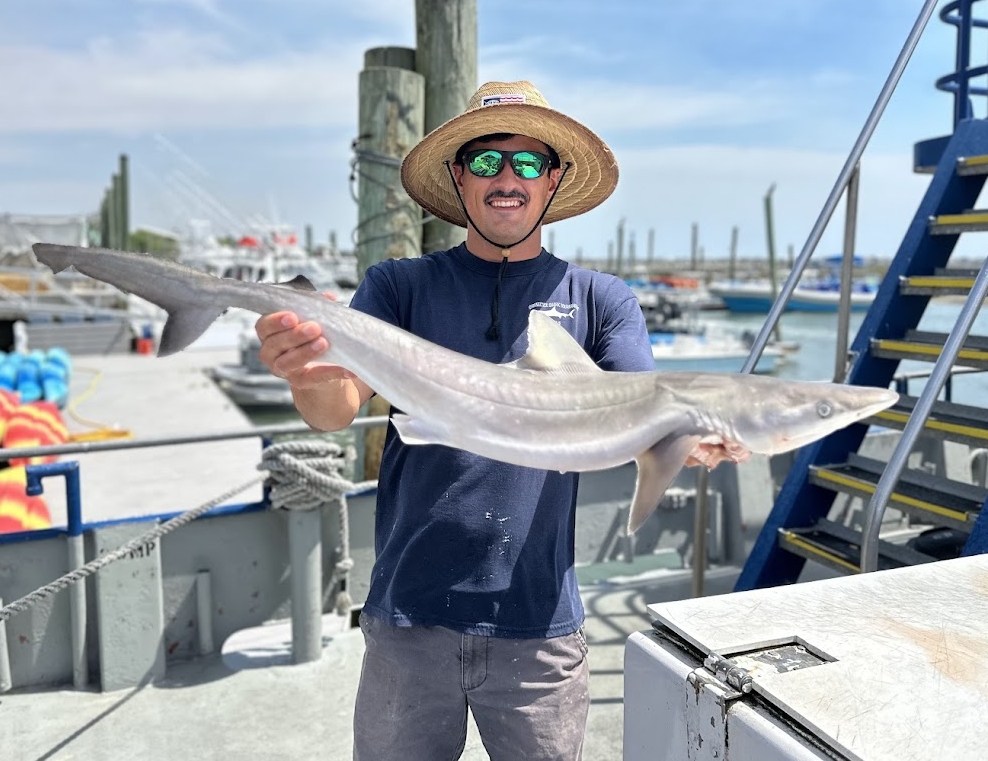 Man holding a small shark on a dock, wearing a straw hat and sunglasses.